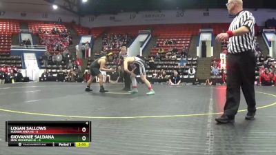 215 lbs Quarterfinals (8 Team) - Logan Sallows, Hudson Area HS vs Giovannie Saldana, Iron Mountain HS