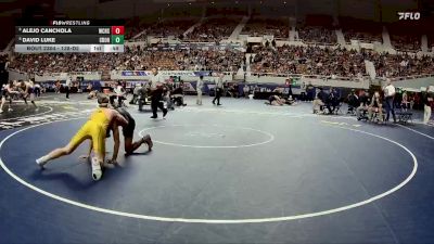 138-D2 Cons. Round 3 - Alejo Canchola, Willow Canyon High School vs David Luke, Canyon Del Oro High School
