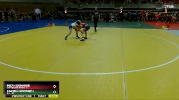 102 lbs Semis & 1st Wrestleback (8 Team) - Lincoln GOODRICH, K-M vs Micah Donahue, Watertown-Mayer