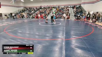 152 lbs Quarterfinal - Audrey Walker, Prosper Rock Hill (Girls) vs Sydnie Beaumont, Prosper (Girls)