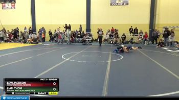 65 lbs Cons. Round 5 - Liam Thom, Pursuit Wrestling Minnesota vs Levi Jackson, Moen Wrestling Academy