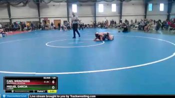 125 lbs Cons. Round 2 - Cael Weinzweig, Wisconsin-LaCrosse vs Miguel Garcia, Luther