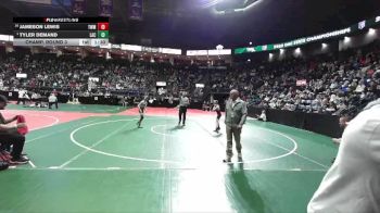 74 lbs Champ. Round 3 - Tyler Demand, LAC3 vs Jameson Lewis, TWM1