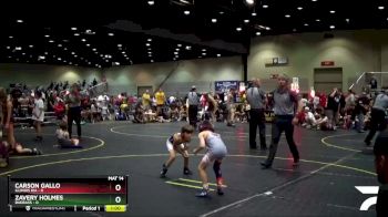 46 lbs Semis & 1st Wrestleback (8 Team) - Carson Gallo, Illinois KIA vs Zavery Holmes, BadBass
