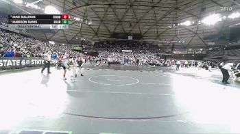 Boys 1B/2B 165 Quarterfinal - Jameson Davis, Selkirk vs Jake Sullivan, Okanogan