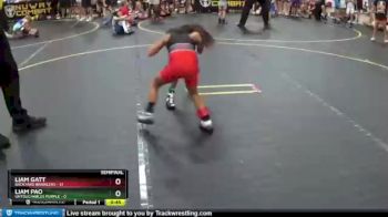 44 lbs Semis & 1st Wrestleback (8 Team) - Liam Gatt, Backyard Brawlers vs Liam Pao, Untouchables Purple