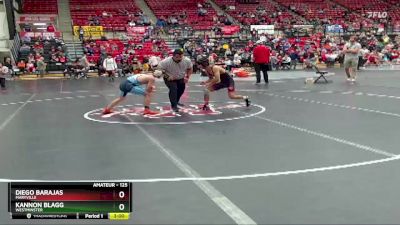 125 lbs Quarterfinal - Kannon Blagg, Westminster vs Diego Barajas, Maryville