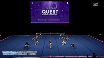 Hornets Competitive Cheerleading - Honey Bees [2026 L1 - Rec Performance Elite - 6Y Day 2] 2026 The Quest