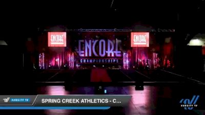 Spring Creek Athletics - Courage [2020 L3 Junior - D2 - Small Day 2] 2020 Encore Championships: Houston DI & DII