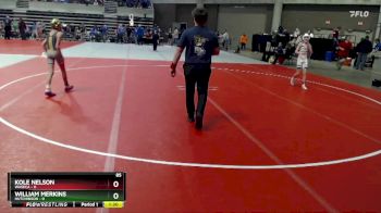 85 lbs Semis & 1st Wrestleback (8 Team) - William Merkins, Hutchinson vs Kole Nelson, Waseca