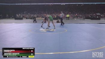 D3-175 lbs 3rd Place Match - Mason Roth, Napoleon HS vs Anthony Schultz, Central Montcalm HS