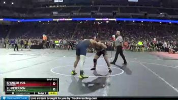 D1-215 lbs Cons. Round 2 - Lu Peterson, Wyandotte Roosevelt vs Spencer Vos, Plymouth