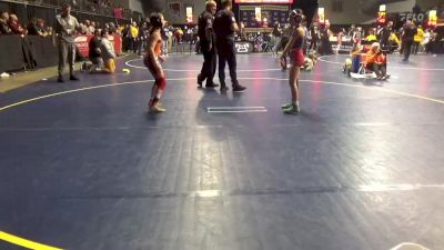 83 lbs 3rd Place - Layla Namerow, Downingtown vs Hadley Heaster, Montgomery