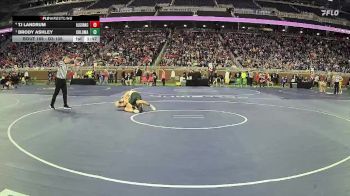 D3-106 lbs Quarterfinal - Brody Ashley, Coloma vs Tj Landrum, Algonac