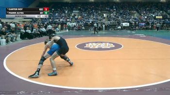 3 - 113 lbs Semifinal - Carter Roy, New Kent vs Paden Alyea, Skyline