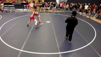 138 lbs Cons. Round 4 - Luke Sanborn, MN vs Hadley Losoya, IL