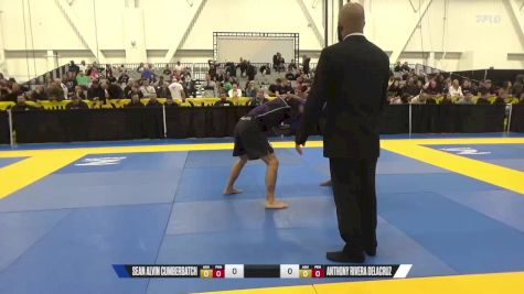 Anthony Rivera DeLaCruz vs Sean Alvin Cumberbatch 2024 World IBJJF Jiu-Jitsu No-Gi Championship