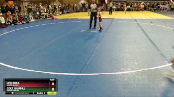 40 lbs 3rd Place Match - Colt Gambill, Grand Rapids vs Leo Shea, Dover-Eyota