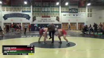 160 lbs Quarterfinal - Jacob Gastley, Perry vs Cooper Hatch, Arbor View