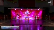 South Texas Strutters - Junior Elite Pom [2025 Junior - Premier - Pom Day 1] 2025 NDA Houston Regional