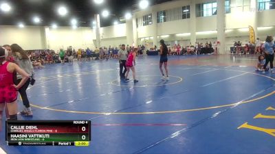 105 lbs Round 4 (8 Team) - Callie Diehl, Charlies Angels Florida Pink vs Haasini Vattikuti, Iron Lion Wrestling