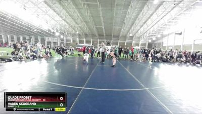 110 lbs Champ Round 1 (16 Team) - Vaden Skogrand, Idaho 2 vs Quade Probst, Sanderson Wrestling Academy