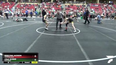 88 lbs Cons. Round 2 - Brielynn Jackson, Lawrence Elite vs Cole Huwar, Blue Pride