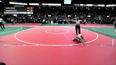 60 lbs Cons. Round 3 - Luca Hicks, STC2 vs Andrew Yost, CPWA