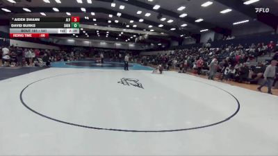 141 lbs Champ. Round 2 - David Burks, Shenandoah vs Aiden Swann, Alvernia