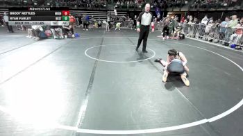 110 lbs Round Of 32 - Brody Nettles, Mount Olive vs Ryan Farley, Westfield