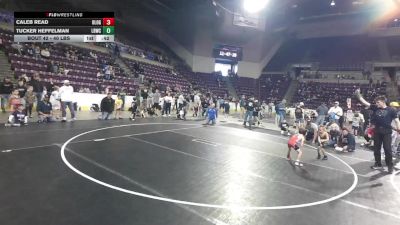 40 lbs Champ. Round 3 - Caleb Read, Our Lady Of Grace Catholic Wrestling vs Tucker Heffelman, Legacy Boltz Wrestling Club
