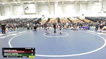 75 lbs Semifinal - Sawyer Hatch, Honeoye Falls-Lima Wrestling Club vs Bentley Martin, Warrior Warehouse Wrestling