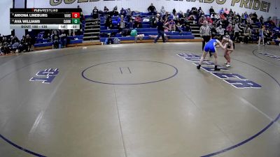 136 lbs Cons. Round 3 - Ariona Lineburg, Valley Hs vs Ava Williams, Cannon McMillan