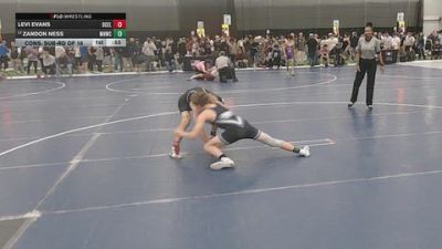 132 lbs Cons. Sub-rd Of 16 - Levi Evans, DC Elite vs Zandon Ness, Mile High Wrestling Club