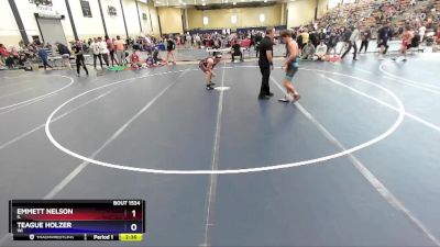 138 lbs Cons. Round 7 - Emmett Nelson, IL vs Teague Holzer, WI