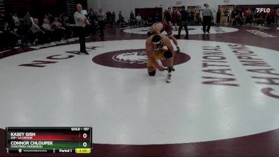 197 lbs Cons. Semi - Connor Chloupek, Concordia Moorhead vs Kasey Gish, UW - La Crosse