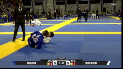 Felipe Oliveira vs Cole Abate 2026 World Jiu-Jitsu IBJJF Championship