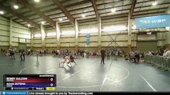 100 lbs Quarterfinal - Bobby Gulzow, Oregon vs Koan Hotema, Hawaii