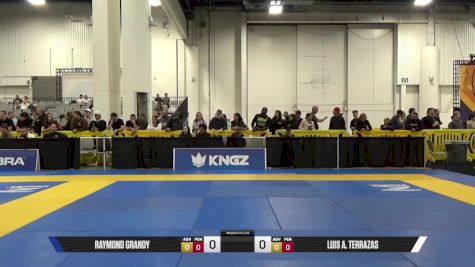 LUIS A. TERRAZAS vs RAYMOND GRANDY 2025 World IBJJF Jiu-Jitsu No-Gi Championship