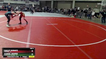 135 lbs Champ. Round 1 - Oakley Bornitz, TMBWWG vs Gabriel Demere, Mahnomen-Waubun