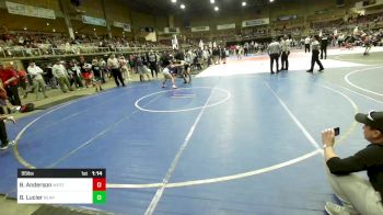 95 lbs Round Of 16 - Breadyn Anderson, Western Colorado WC vs Brayden Lucier, Bear Cave