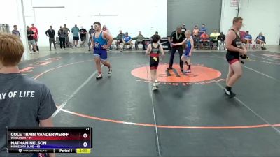 71 lbs Placement Matches (8 Team) - Cole Train Vanderwerff, Wisconsin vs Nathan Nelson, Minnesota Blue