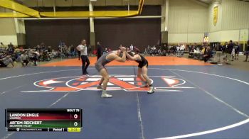 141 lbs Cons. Round 3 - Artem Reichert, Delaware Valley vs Landon Engle, Lourdes