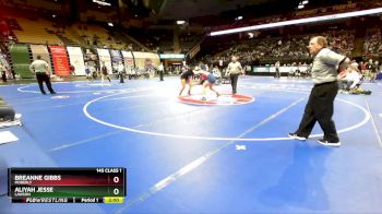 145 Class 1 lbs Quarterfinal - Breanne Gibbs, Moberly vs Aliyah Jesse, Lawson