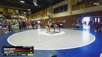 150 lbs Cons. Round 2 - Trey Anton, JW North vs Gavyn Hogan, Temecula Valley