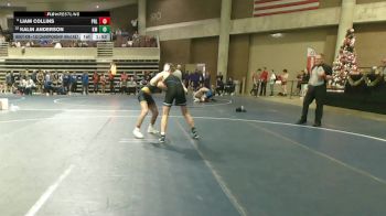 133 Championship Bracket Champ. Round 3 - Kalin Anderson, Kasson-Mantorville vs Liam Collins, Prior Lake