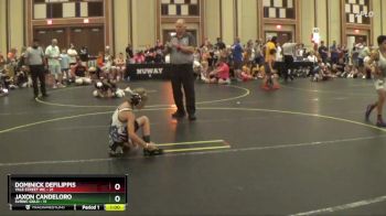 65 lbs Round 4 (6 Team) - Jaxon Candeloro, SVRWC Gold vs Dominick Defilippis, Yale Street WC
