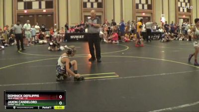 65 lbs Round 4 (6 Team) - Jaxon Candeloro, SVRWC Gold vs Dominick Defilippis, Yale Street WC