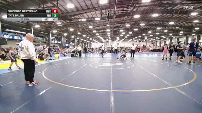 80 lbs Rr Rnd 2 - Cole Telenko, All American Wrestling Club - MS vs Lucas Spicer, Revival Jokers - MS