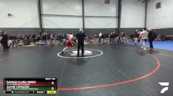 195 lbs Quarterfinal - Damian Clark-Perez, All In Wrestling Academy vs Dayne Camacho, White Center Warriors Wrestling Club